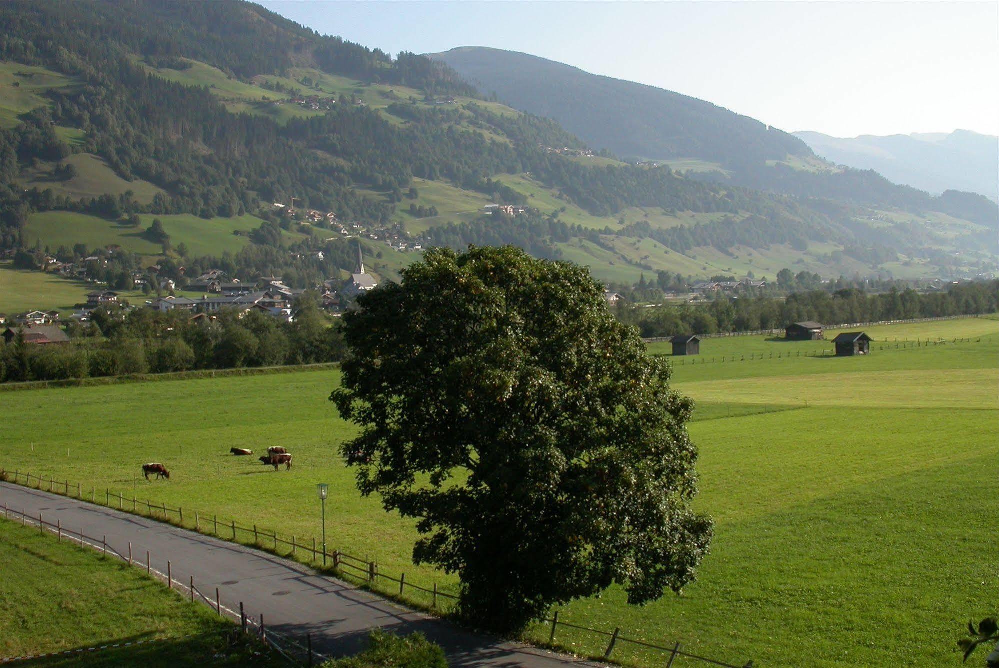 Pension Kristall Bramberg am Wildkogel Exterior photo